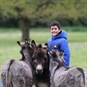 Boy with Donkeys